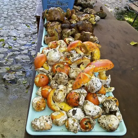 Frühstückspension Macchiapiede 3*