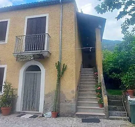 Macchiapiede 3*