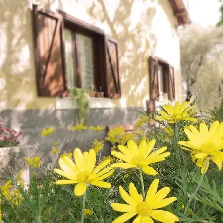 Macchiapiede Bed & Breakfast